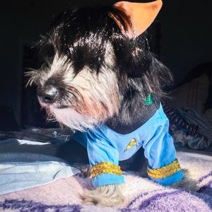 Cutest Dog Mr. Spock Star Trek Costume, Size Small